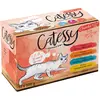 12x100g Catessy Bouchées en gelée de légumes (4 saveurs) - Pâtée pour ...