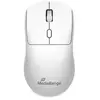 MediaRange Souris MROS257 (Sans fil), Souris, Noir