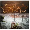 Fiche solaire esotec Magie d'étoiles Décoration de Noël pour l'extérie...