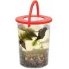 Merkloos / Sans marque Emmertje met loep - Eduplay - Experimenteerset - Educatief speelgoed - Natuur - Biologie