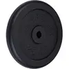 ScSPORTS  - Disque d`haltères en fonte 25 kg - 4260180090079