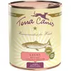 Terra Canis 6 x 800 g pour chien - saumon, millet, pêche et herbes