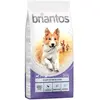 14kg Adult Active Briantos - Croquettes pour chien
