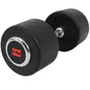 Gorilla Sports Dumbell - Vaste Halter - Gietijzer met Rubber coating - 27,5 kg