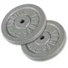 Gorilla Sports Halterschijven Set - Bundel - 30 kg - 2 x 15 kg - Gietijzer - 30 mm
