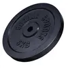 Gorilla Sports Gewichtsschijf - Halterschijf - Gietijzer Zwart - 30 mm- 5 kg