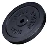 Gorilla Sports Gewichtsschijf Zwart - Halterschijf - Gietijzer - 31 mm - 15 kg