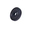 Disque de poids en fonte 30/31 mm Noir / 1,25 KG Gorilla Sports