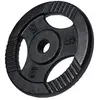 Gorilla Sports Gewichtsschijf - Halterschijf - 5 kg - Gripper Gietijzer zwart - 30 mm