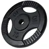 Gorilla Sports Gewicht - Halterschijf - 10 kg - Gripper Gietijzer zwart - 30 mm