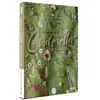Outhere Music Fr Cnt Cendrillon DVD