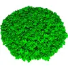 LEGO 1x1 Flower Light Green - Plant Leaves Plant Leaf - Vert vif 32607...