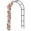 Deuba Arche de jardin 240x140x37cm Support pour plantes grimpantes Arche à rosiers Tuteur Décoration extérieure