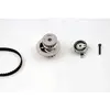 Waterpomp + distributieriemset PK07910 Hepu