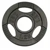 Gorilla Sports Gewicht - Halterschijf - 1.25 kg - Gripper Gietijzer - 50/51 mm