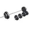 Gorilla Sports Halterset 60 kg - Kunststof - Halters met Gewichten - 30 mm
