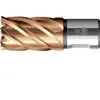 BDS, Scie-cloche, Carottier HSSVarioPLUS 27,0mm Coupe.30mm Attache Wel...