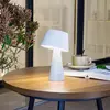 Lindby Led Lampe Solaire à intensité variable 'Lirinor'