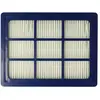 VHBW vhbw allergie filtre HEPA compatible avec Nilfisk Power P10 UK DE...