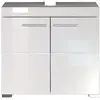 TRENDS INTERNATIONAL Meuble sous vasque AMANDA - 2 portes - L60 x H56 x P34 cm - Blanc - TRENDTEAM
