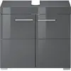TRENDS INTERNATIONAL Meuble sous vasque - AMANDA - 2 portes - Gris mat et brillant - L60 x H56 x P34 cm