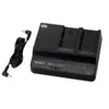 Sony Double chargeur BC-U2A Noir pour batteries Lithium-ion