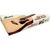Ibanez V54NJP Guitare Open Pore Natural