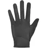 Giant Gants Transfer