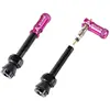 Granite Design Soupapes Juicy Nipple Presta 2 Unités