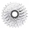 Microshift Rte R10 Cassette Zilver 10s / 11-28t