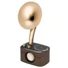 RAdio FM et bluetooth Sangean - Euphonic 450 (WR-45)  Or
