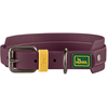 Collier Hunter Havanna, violet taille S-M : 32-40cm tour de cou chien