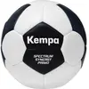 Kempa Spectrum Synergy Primo Game Changer Ballon de match et d'entraîn...