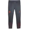 PUMA MCFC Training Pants Heren Sportbroek - Grijs - Maat XS