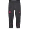 PUMA - MANCHESTER CITY TRAINING PANT 2023/2024 - Maat S