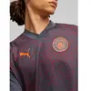 Puma Maillot De Football Puma Mcfc Trg Jsy Gris Anthracite Foncé