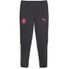 Puma Pantalon De Survêtement Casuals Manchester City