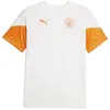 Puma T-shirt à Manches Courtes Entraînement Manchester City Fc 23/24