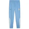 Puma Pantalon Avant-match Manchester City Fc 23/24