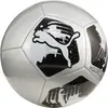 PUMA Balle Big Cat
