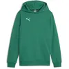 Puma, Garçons, Pull-over, teamGOAL Casuals Hoody Jr, Vert, (164)