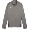 Puma, Femmes, Veste, teamGOAL Veste d'entraînement Wmn (XL), Gris, XL