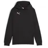 Puma Sweat à Capuche Teamgoal Casuals
