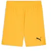 Puma, Garçons, Bas de sport, teamGOAL Short Jr (164), Orange, 164