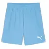 Puma Short Teamgoal
