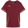 PUMA Maillot Teamgoal Matchday pour Femme Maillot de Football Mixte