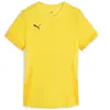 PUMA Maillot Teamgoal Matchday pour Femme Maillot de Football Mixte