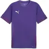 PUMA Maillot de football unisexe Teamgoal Matchday