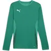 Maillot manches longues Puma TeamGoal - green