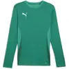 Maillot manches longues Puma TeamGoal - green